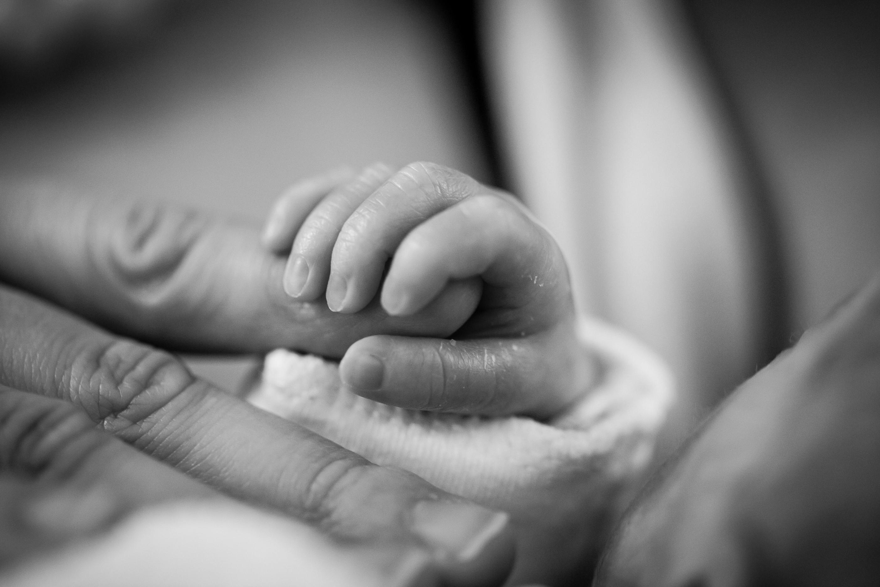 Etapy rozwoju wzroku u niemowląt od narodzin do pierwszego roku życia